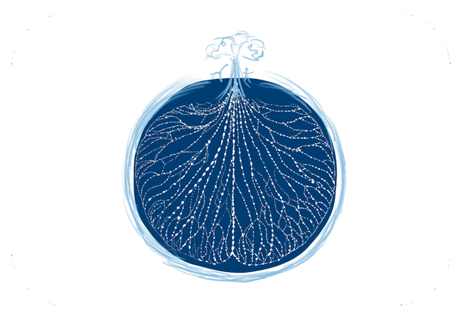 Illustration de la valorisation des données